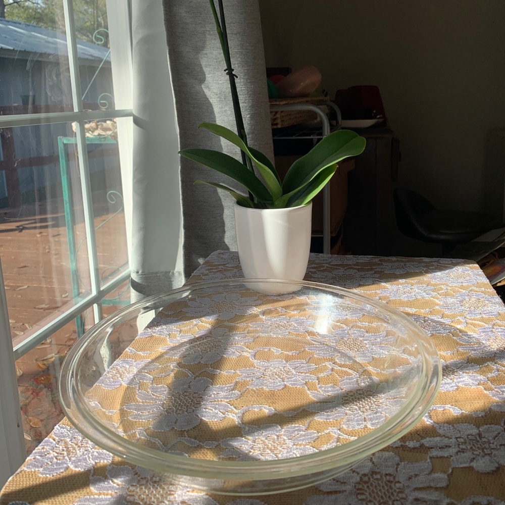 Pyrex plates - Picture 6 of 13